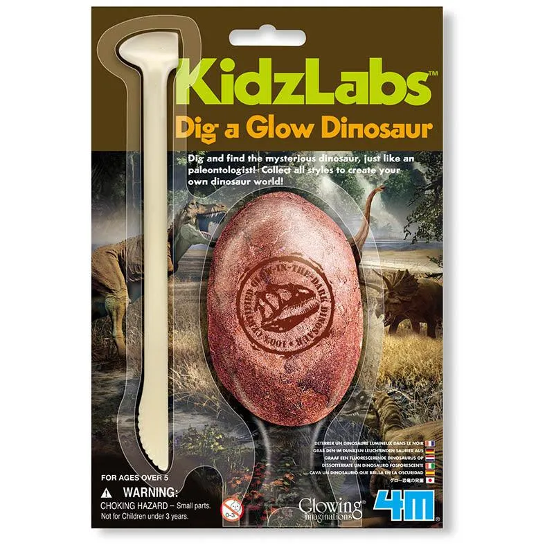 4M 6 Assorted Dig A Glow Dinosaur, Multi Color
