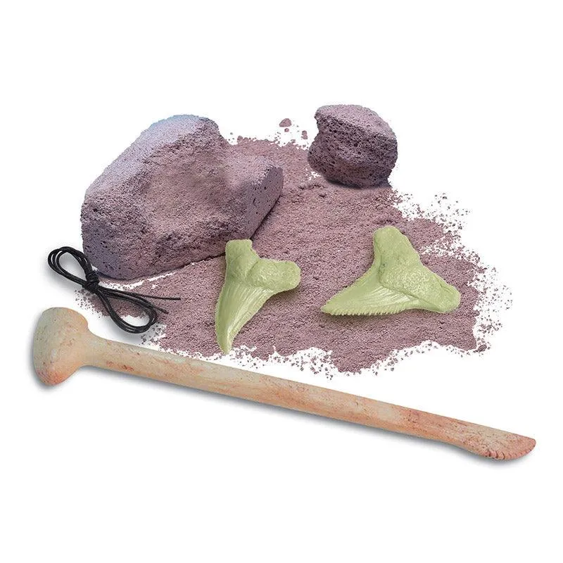 4M 6 Assorted Dig A Glow Dinosaur, Multi Color