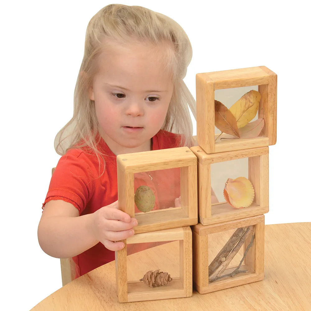 8-Piece Discovery Windows | Fill & Learn Wooden Blocks
