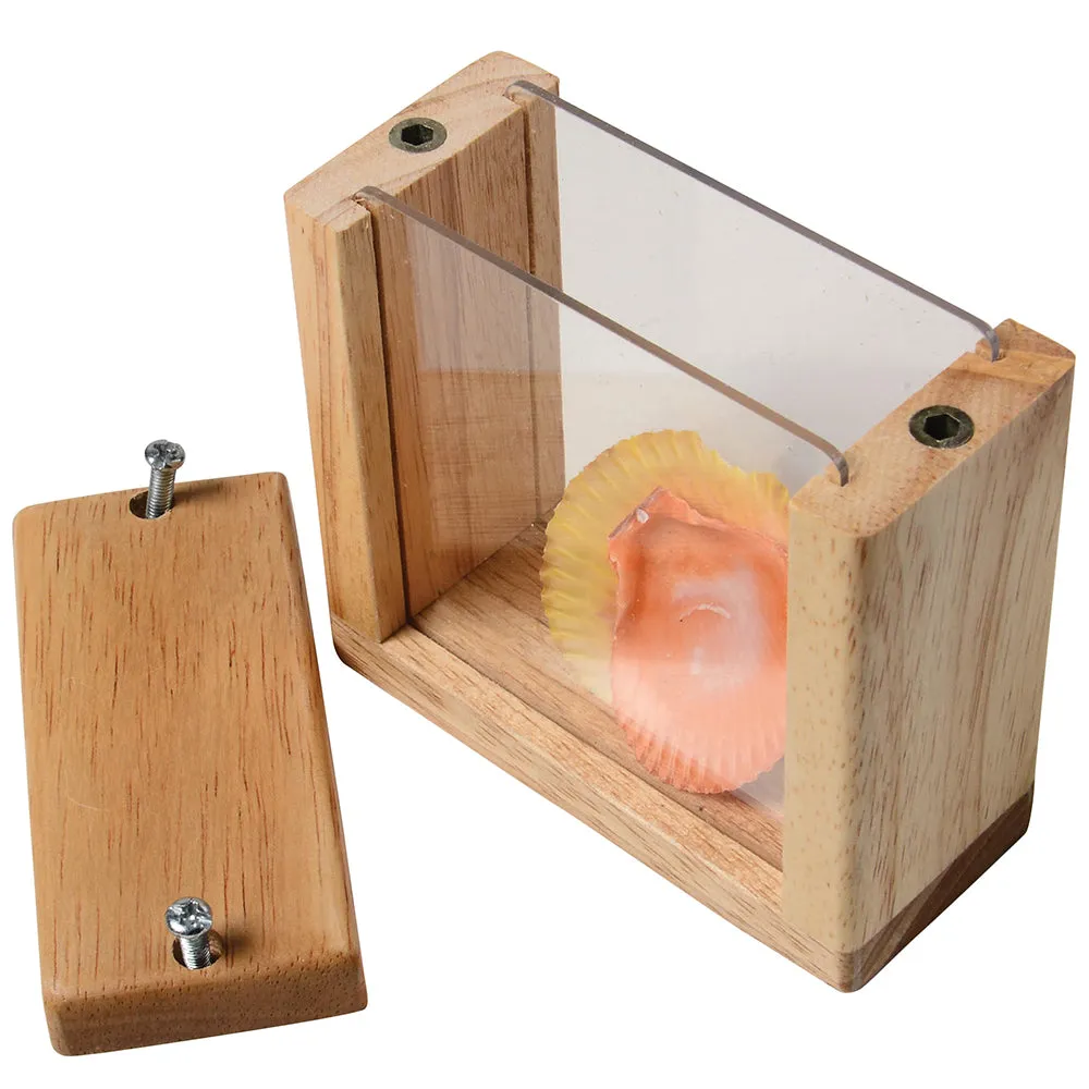 8-Piece Discovery Windows | Fill & Learn Wooden Blocks