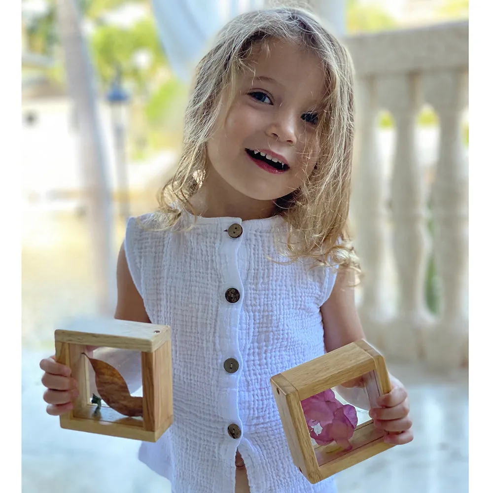 8-Piece Discovery Windows | Fill & Learn Wooden Blocks