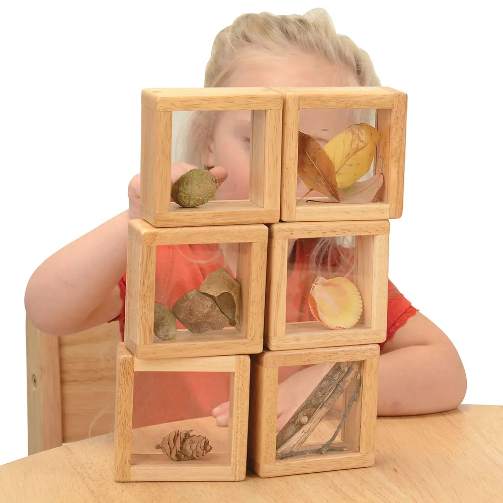 8-Piece Discovery Windows | Fill & Learn Wooden Blocks