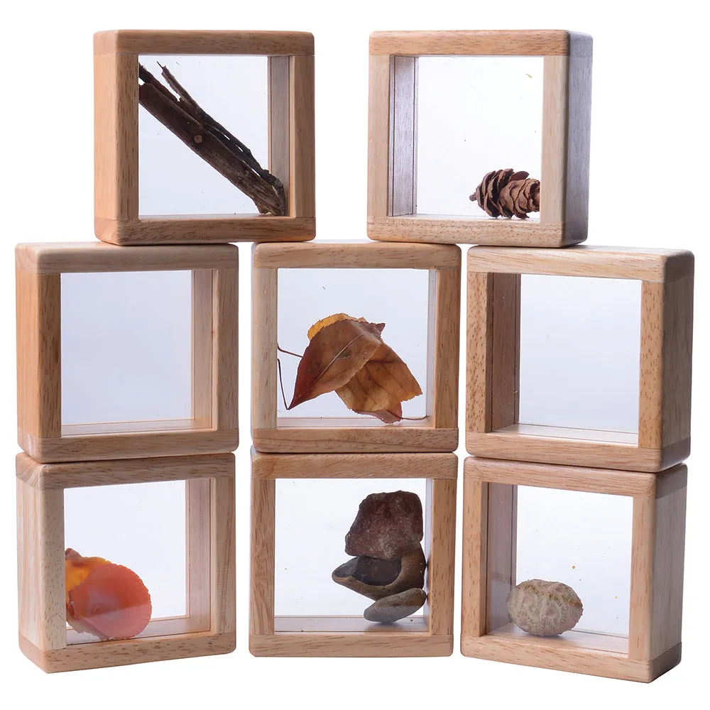 8-Piece Discovery Windows | Fill & Learn Wooden Blocks