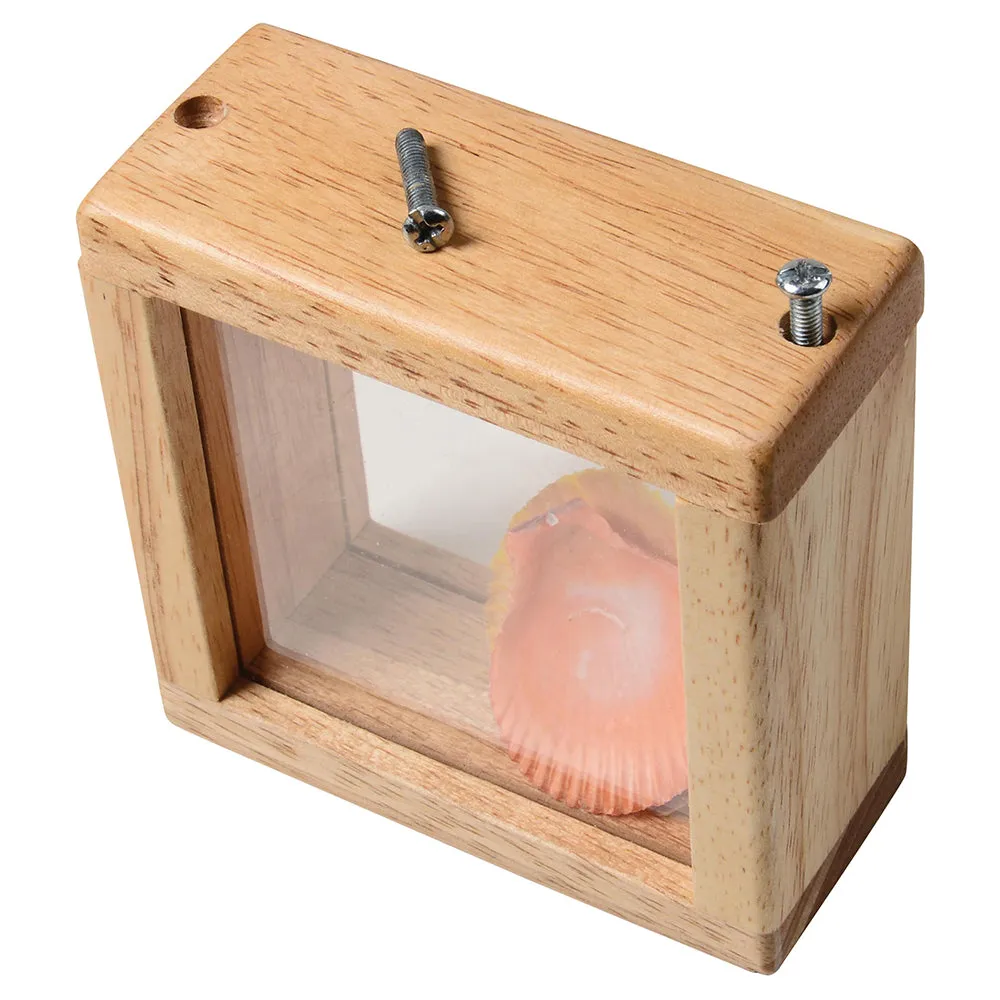 8-Piece Discovery Windows | Fill & Learn Wooden Blocks