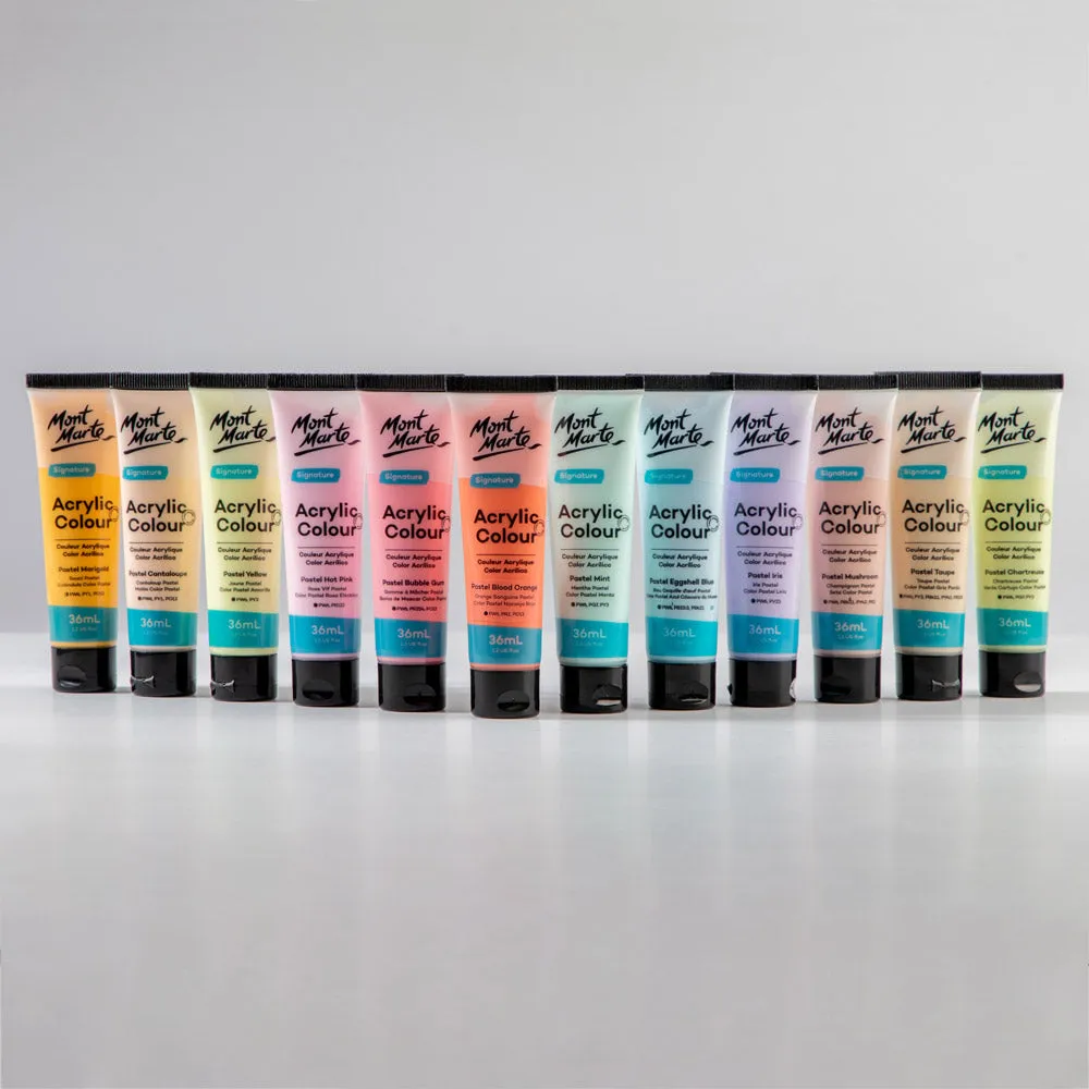 Acrylic Colour Pastel Paint Set Signature 12pc x 36ml (1.2 US fl.oz)