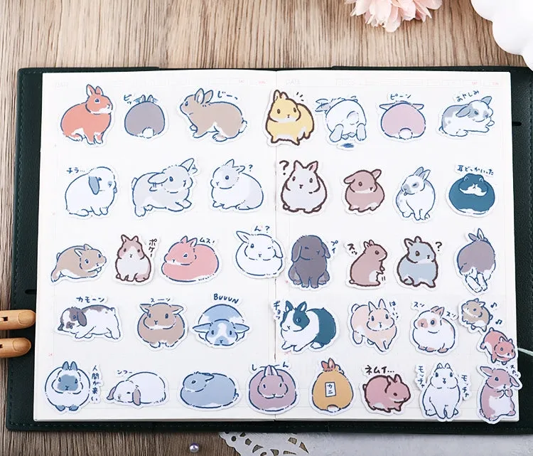 Adorable Rabbit Korean Hand Account Decoration for Kids