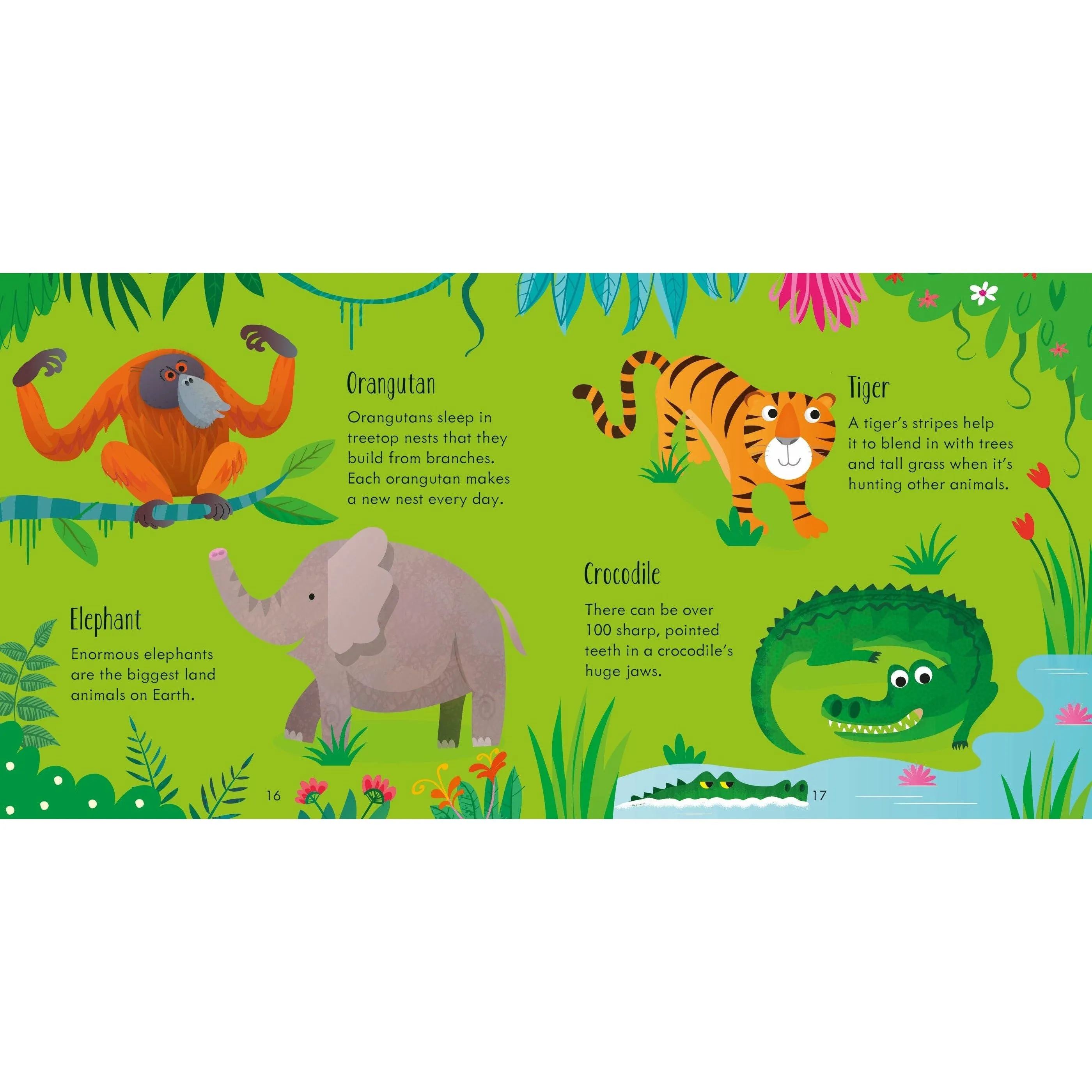 Animal Matching Game & Book