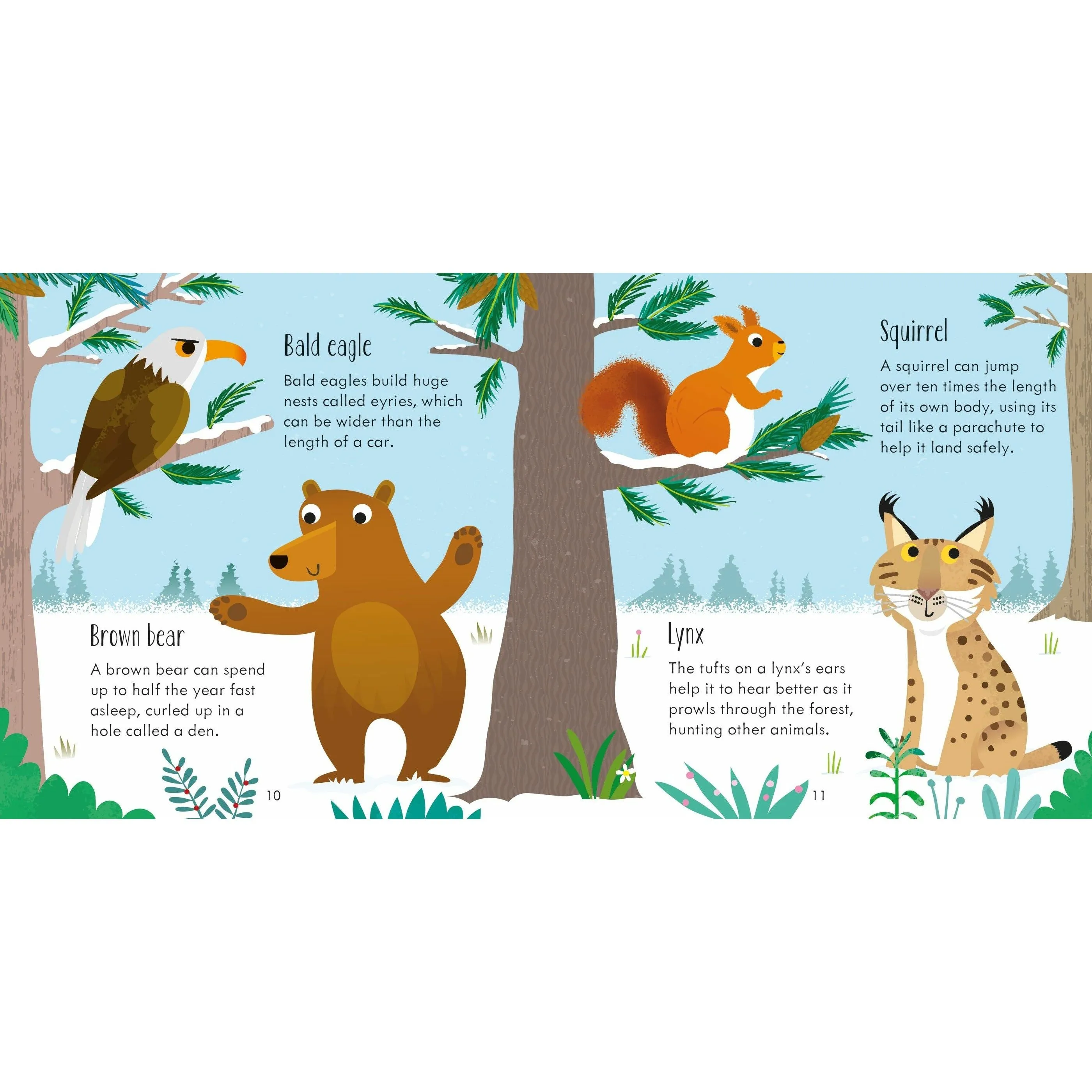 Animal Matching Game & Book