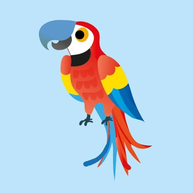 Animal Matching Game & Book