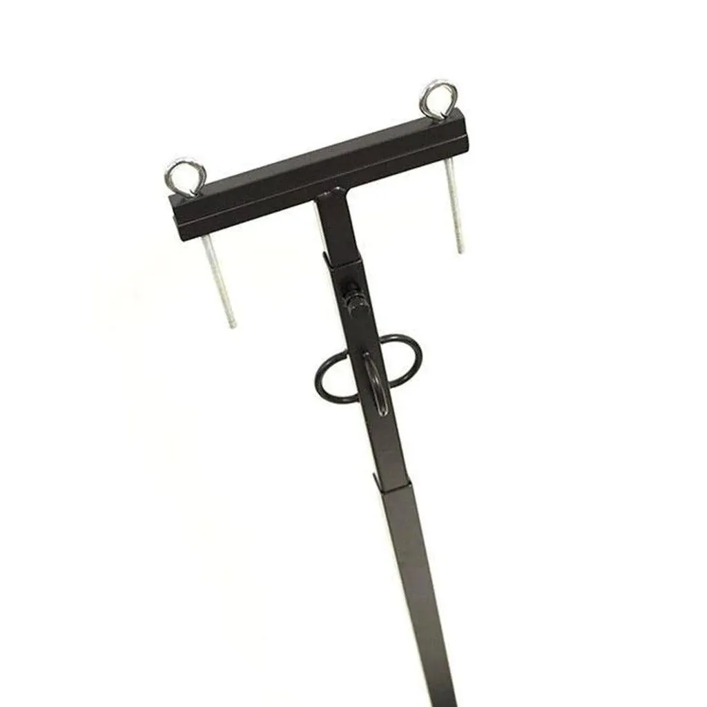 Cock and Ball CBT Pillory