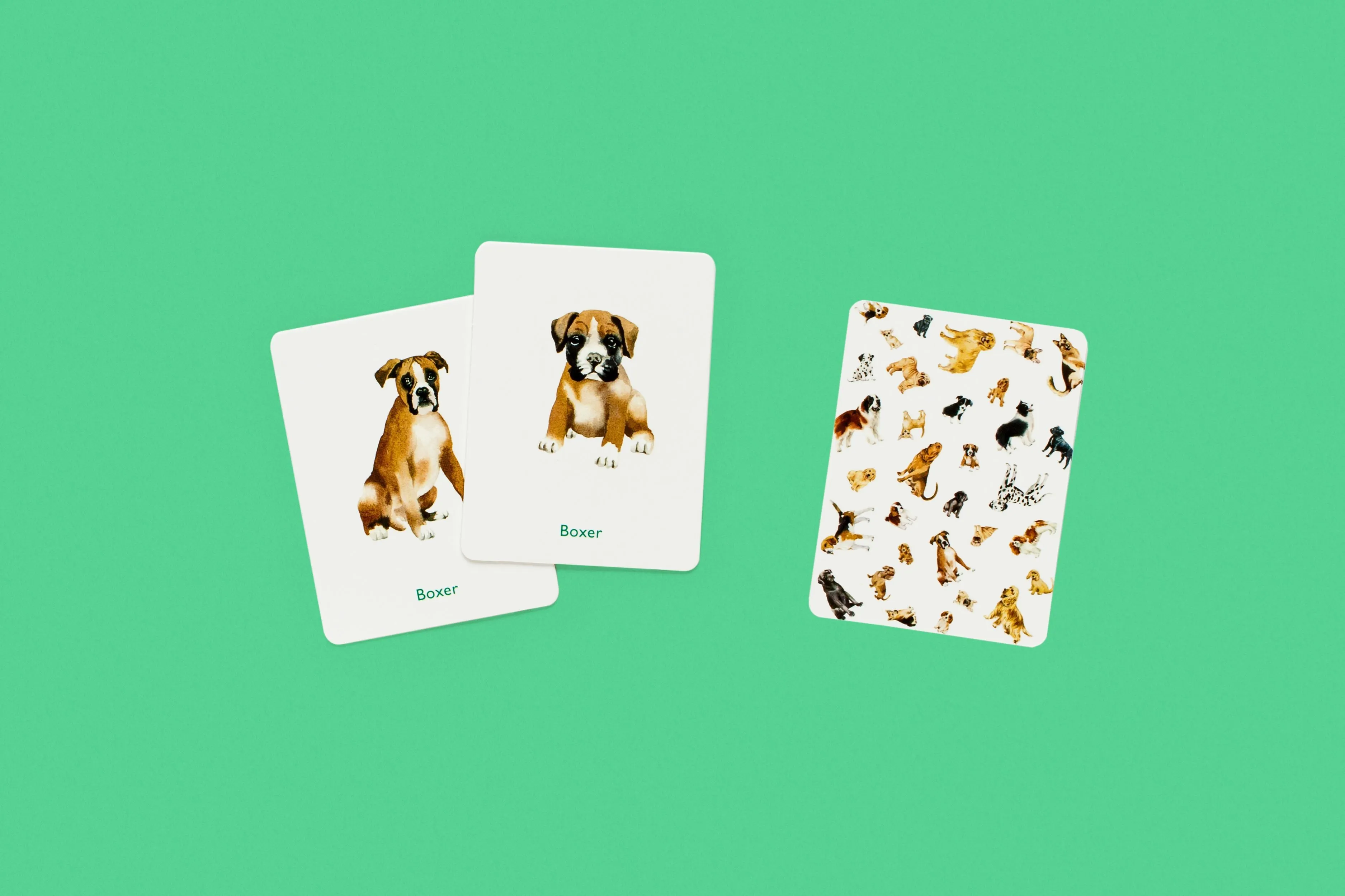 DOGS AND PUPPIES: A MEMORY GAME
