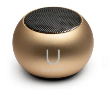 Mini Speaker