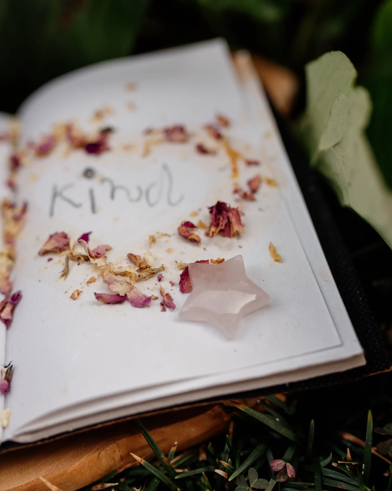 My Heart Blooms | SELF LOVE | Potion Pouch