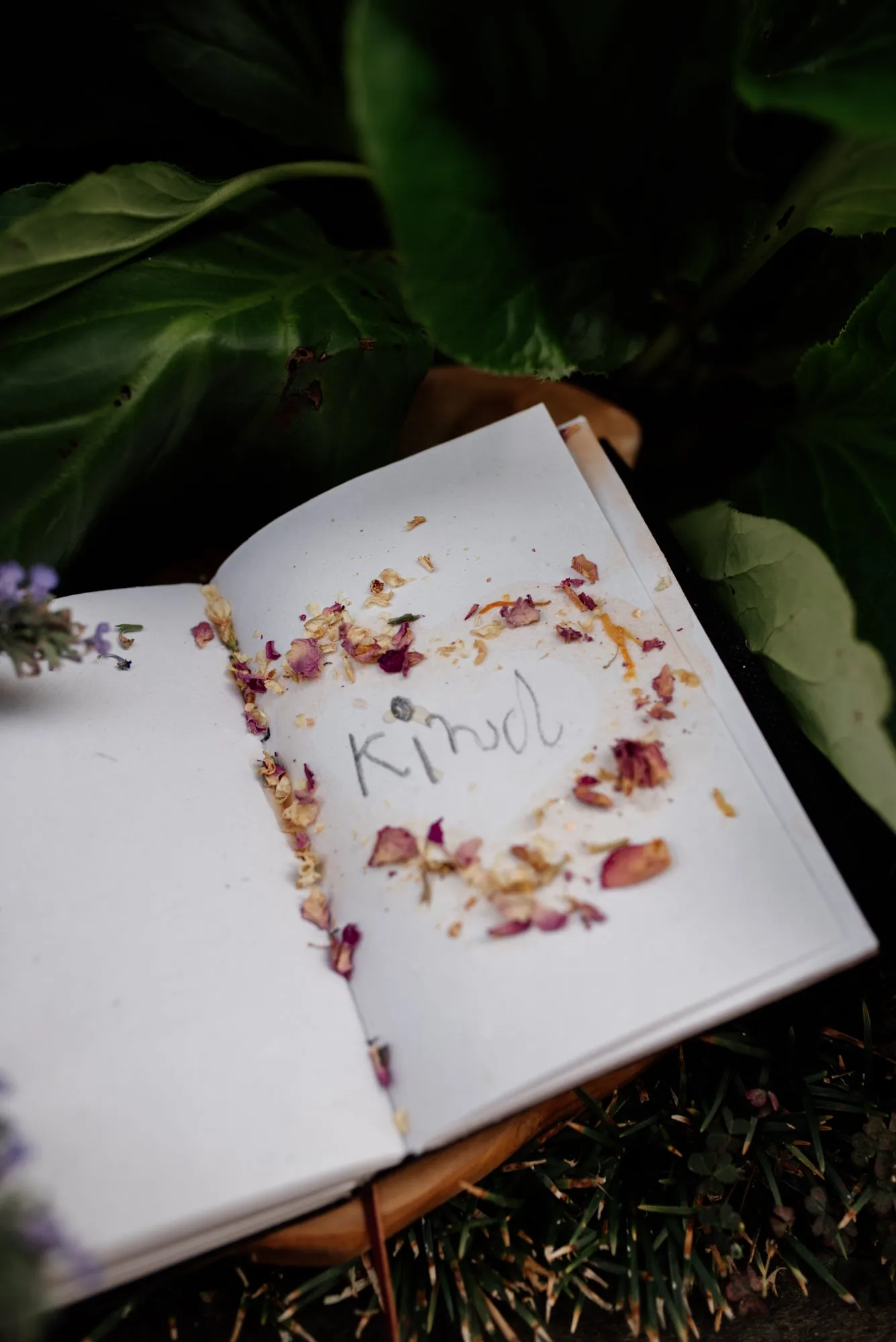 My Heart Blooms | SELF LOVE | Potion Pouch