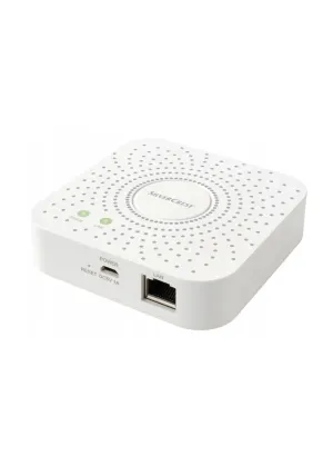 Network Gateway
