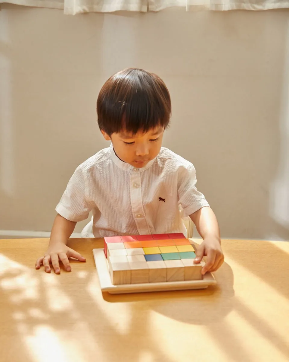 PlanToys Coloured Counting Blocks