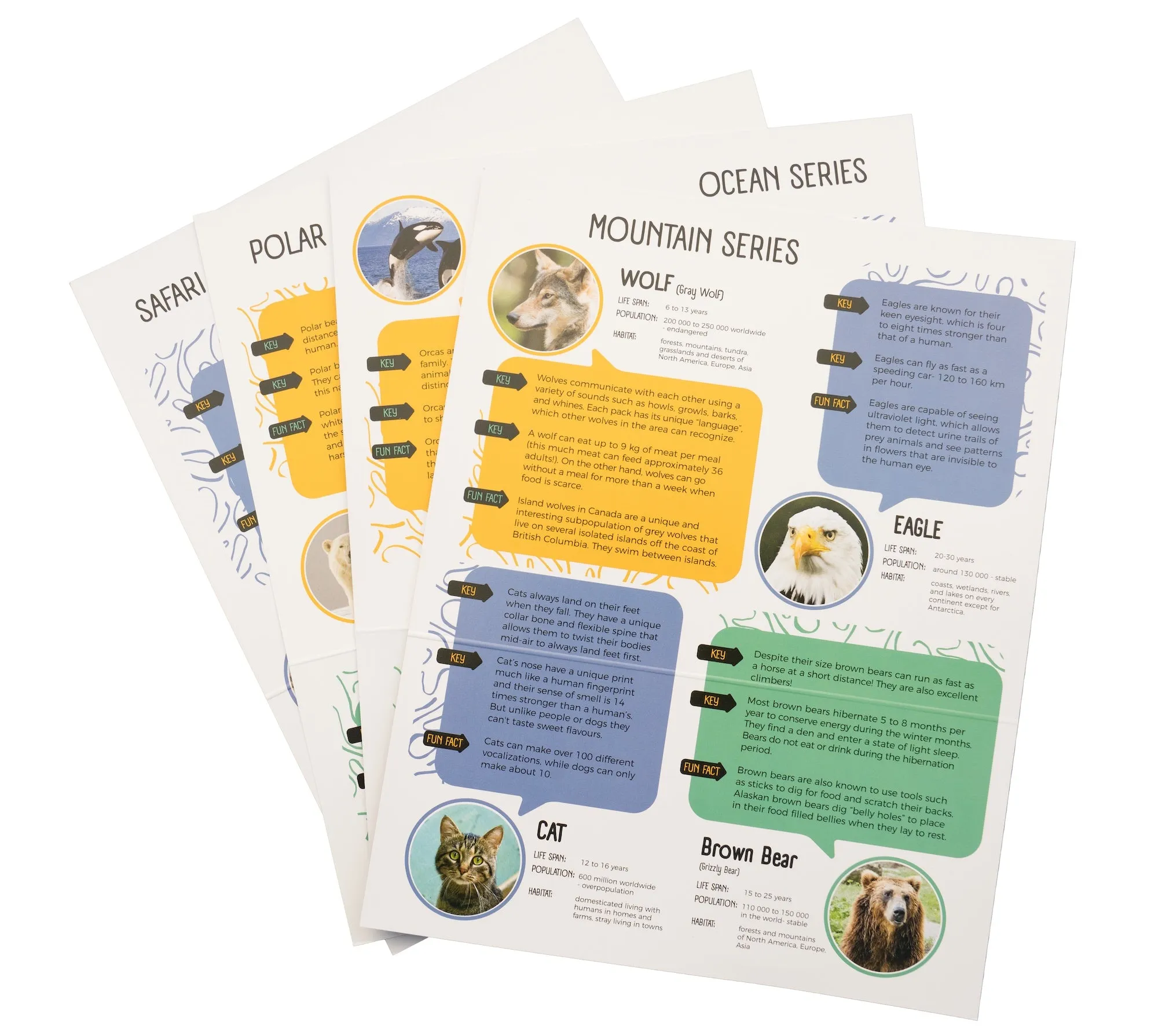 Polar Bear & Penguin Double Alabaster Carving Kit by Studiostone Creative